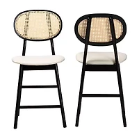 Darrion 2-pc. Counter Height Bar Stool