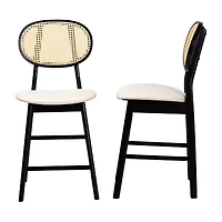Darrion 2-pc. Counter Height Bar Stool