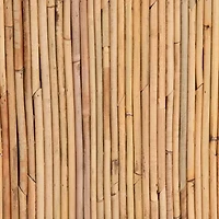 Rosina 1-Drawer Nightstand