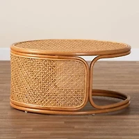Eldon Rattan Coffee Table
