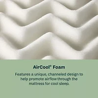 BeautySleep Dream Weaver 12.5" Firm Tight Top - Mattress Only