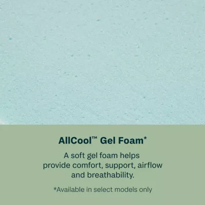 BeautySleep Dream Weaver 11.5" Medium Tight Top - Mattress Only