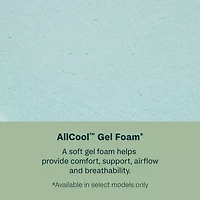 BeautySleep Dream Weaver 11.5" Medium Tight Top - Mattress Only