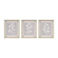 Madison Park Fair Florets 3-pc. Framed Wall Art Set
