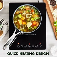 Greenpan Induction Cooker