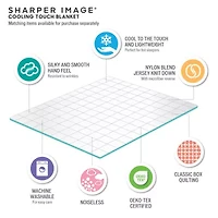 Sharper Image Cooling Touch Down Alternative Blanket