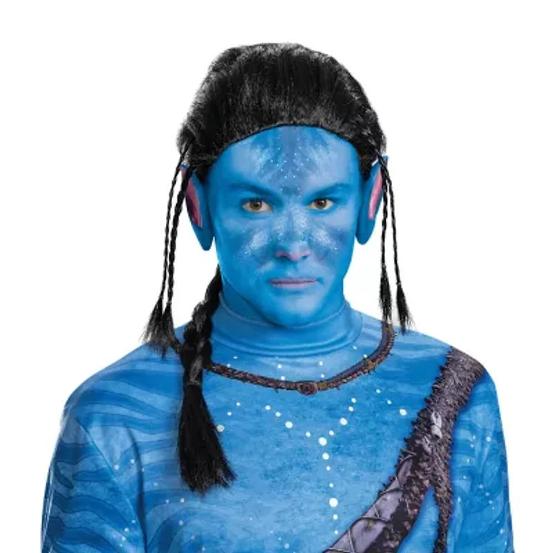 Mens Avatar Wig Costume Accessory