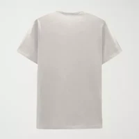 Mens Crew Neck Short Sleeve Regular Fit Graphic T-Shirt