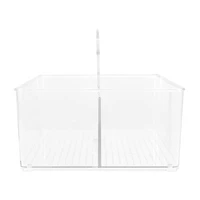 Home Expressions 2 Section Cleaning Caddy