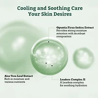 Leaders Aloe Soothing Skin Renewal Mask