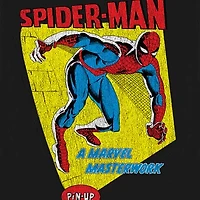 Mens Short Sleeve Spiderman Graphic T-Shirt