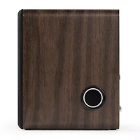 Victrola Bookshelf Speaker