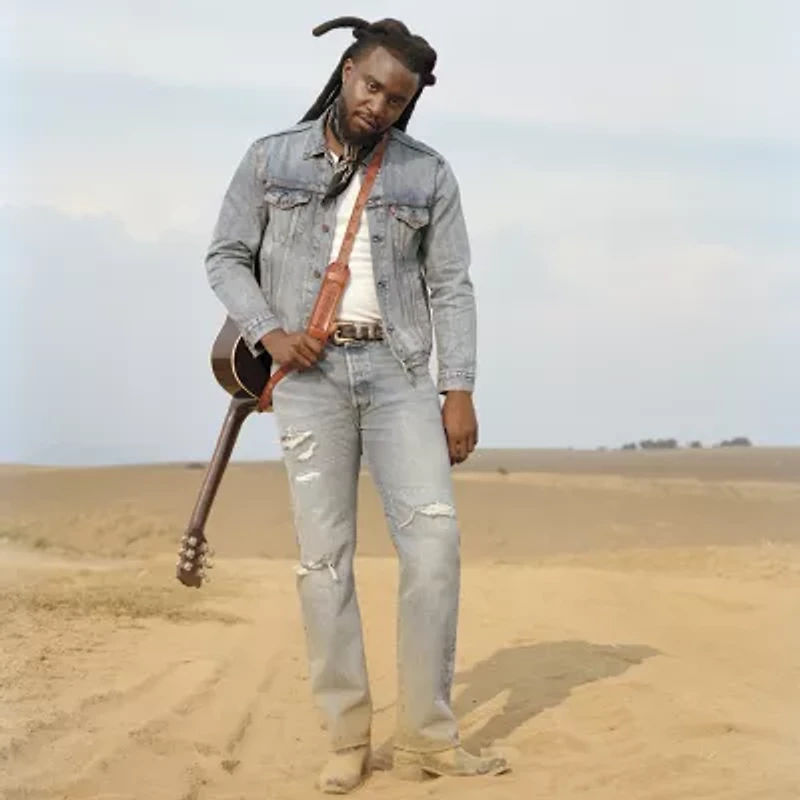 Levi's® Mens 501™ Regular Fit Straight Leg Jean