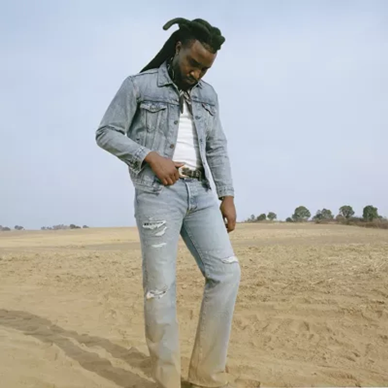 Levi's® Mens 501™ Regular Fit Straight Leg Jean