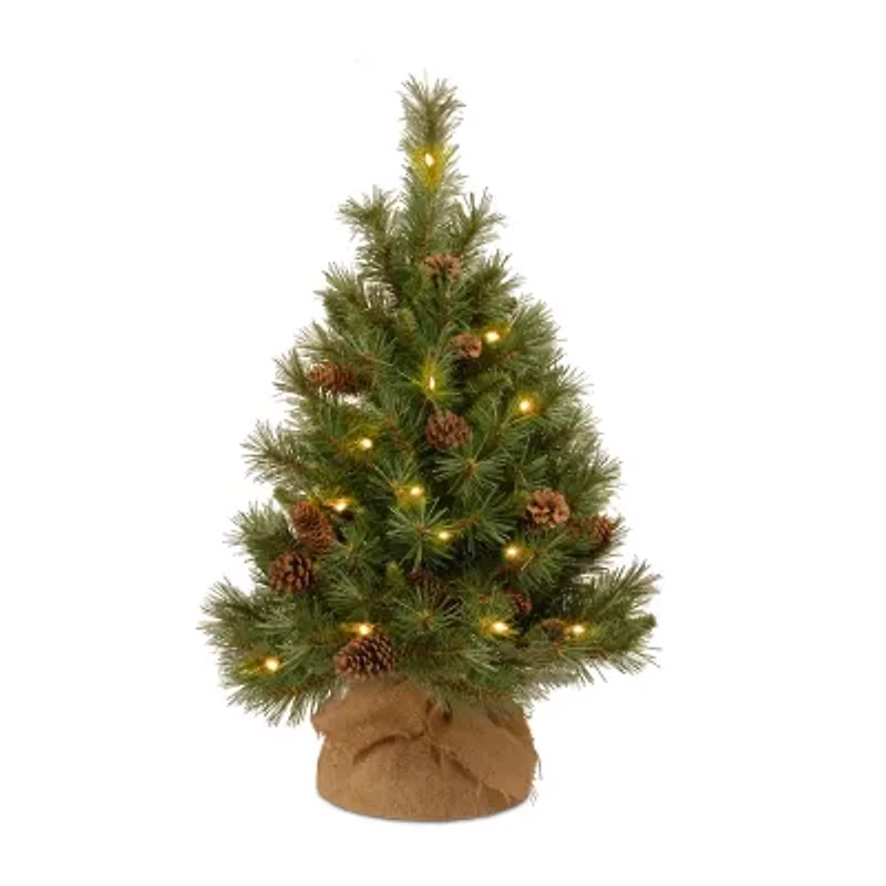 National Tree Co. Pine Cone Burlap 3 Foot Pre-Lit Pine Christmas Tree