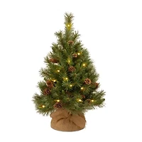 National Tree Co. Pine Cone Burlap 3 Foot Pre-Lit Pine Christmas Tree