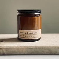 Z CANDLES 8 Oz Modern Botanicals Single Wick Scented Jar Candle