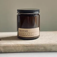 Z CANDLES 8 Oz Rejuvenate Single Wick Scented Jar Candle