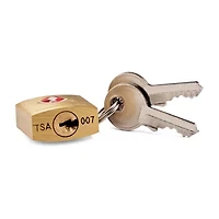 Samsonite 2-pc. Brass Luggage Lock