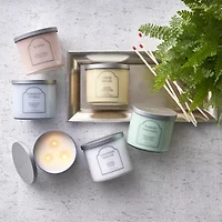 Distant Lands 14oz Modern Magnolia 3-Wick Scented Jar Candle