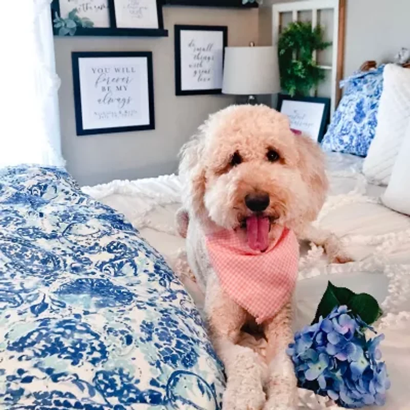Poppy & Fritz Brooke Reversible Duvet Cover Set