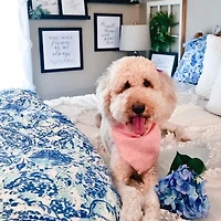 Poppy & Fritz Brooke Reversible Duvet Cover Set