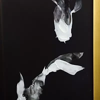 Stylecraft Koi Fish Gold Frame Printed 2-pc. Framed Wall Art Set