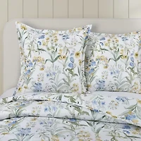 Queen Street Tahlia Euro Sham