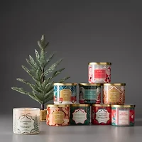 North Pole Trading Co. 16in Willow Pot Christmas Tabletop Tree