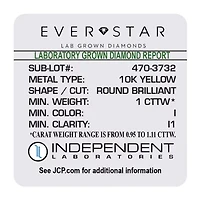 H-I / I1) Womens 1 CT. T.W. Lab Grown White Diamond 10K White Gold 22.5mm Hoop Earrings