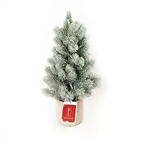 Northlight Led Lighted Mini Frosted In Cement Base 1 Foot Pine Christmas Tree