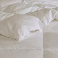 True North By Sleep Philosophy Goose Feather And Down Oversize Comforter