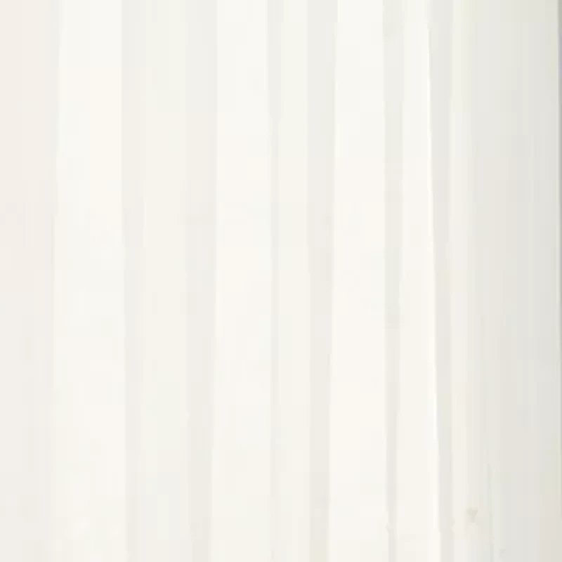 Regal Home Solid Voile Rod Pocket Sheer Single Curtain Panel