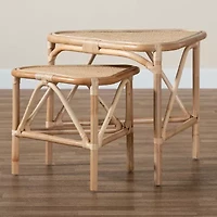 Jayden 2-pc. Rattan End Table
