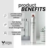 Kenra Professional Perfect Medium Hair Spray 10 oz.