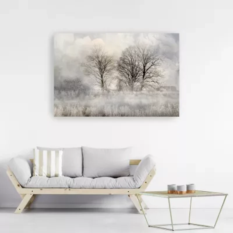 Lumaprints Winter Frost 3 Canvas Art