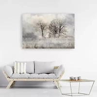 Lumaprints Winter Frost 3 Canvas Art