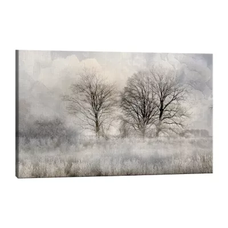 Lumaprints Winter Frost 3 Canvas Art