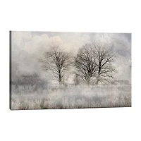 Lumaprints Winter Frost 3 Canvas Art