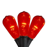 10ct Orange Edison E17 Halloween Light Set - 9ft Black Wire
