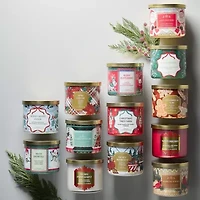 Distant Lands Winterberry 3-Wick Scented Jar Candle