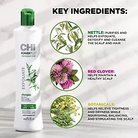 Chi Styling Powerplus Exfoliate Hair Loss Treatment Shampoo-12 oz.