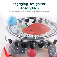 The Peanutshell Baby Activity Center