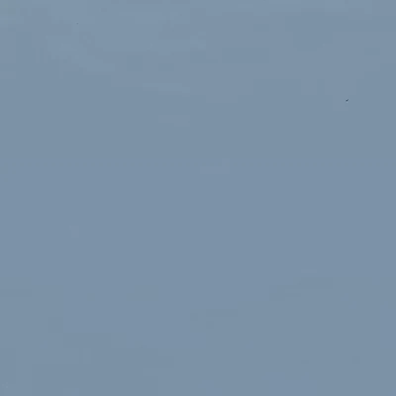 Christian Siriano New York 300tc Cotton Sateen Duvet Cover Set