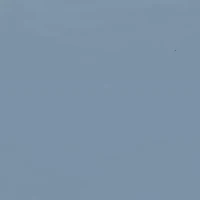 Christian Siriano New York 300tc Cotton Sateen Duvet Cover Set