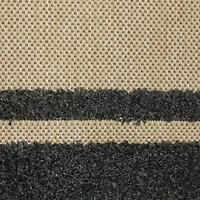 Covington Home Celestia Mixed Pile Border Indoor Outdoor Rectangular Area Rug