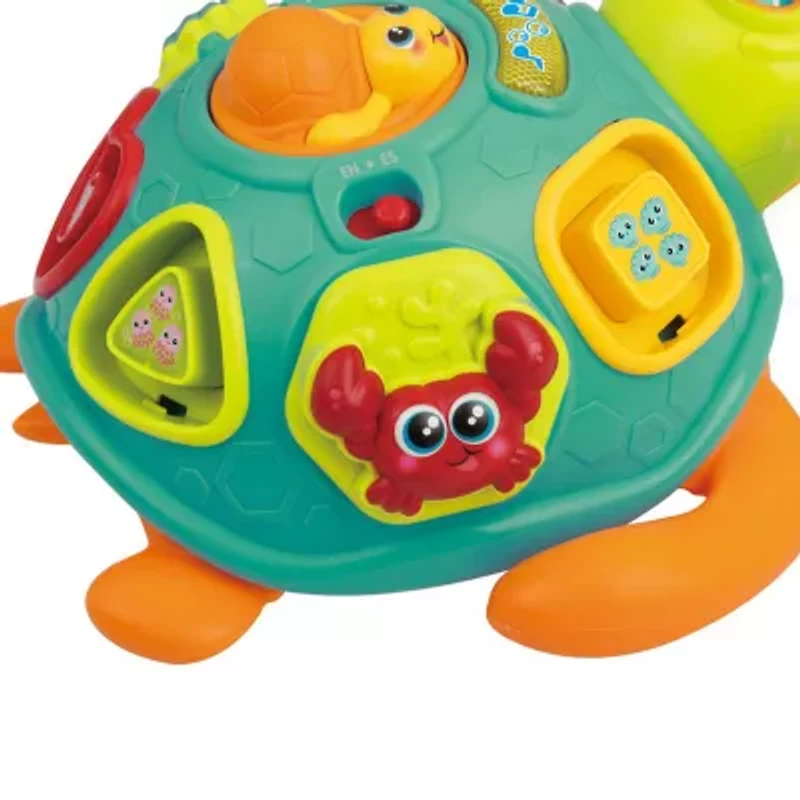 Winfun Pull Along Sort N Learn Turtle Interactive Toy
