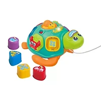 Winfun Pull Along Sort N Learn Turtle Interactive Toy