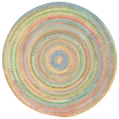 Capel Inc. Baby's Breath Concentric Braided RoundRugs
