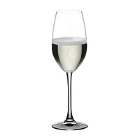 Nachtmann Vivno 4-pc. Champagne Flute